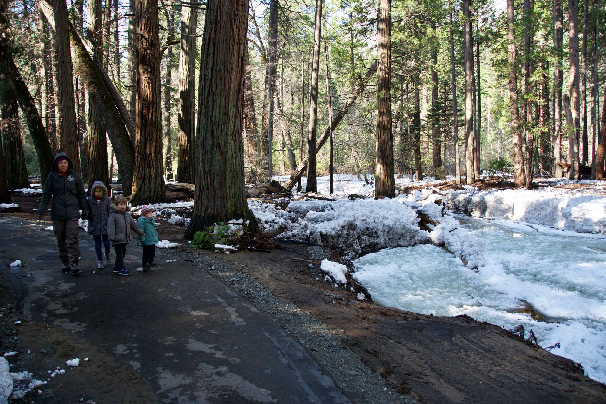 Yosemite, vers lower falls