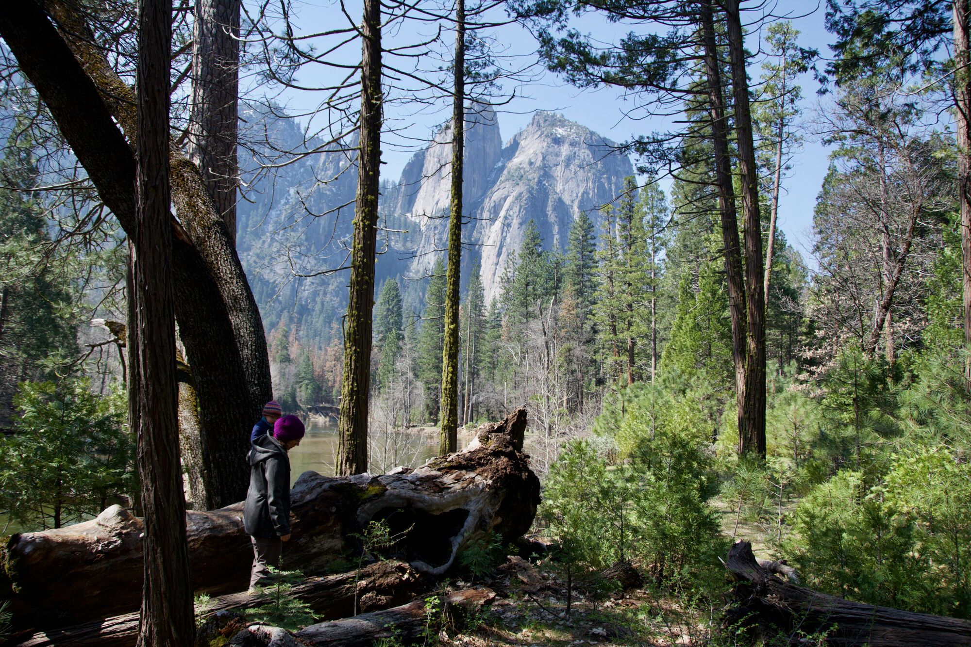 Le long de Merced River