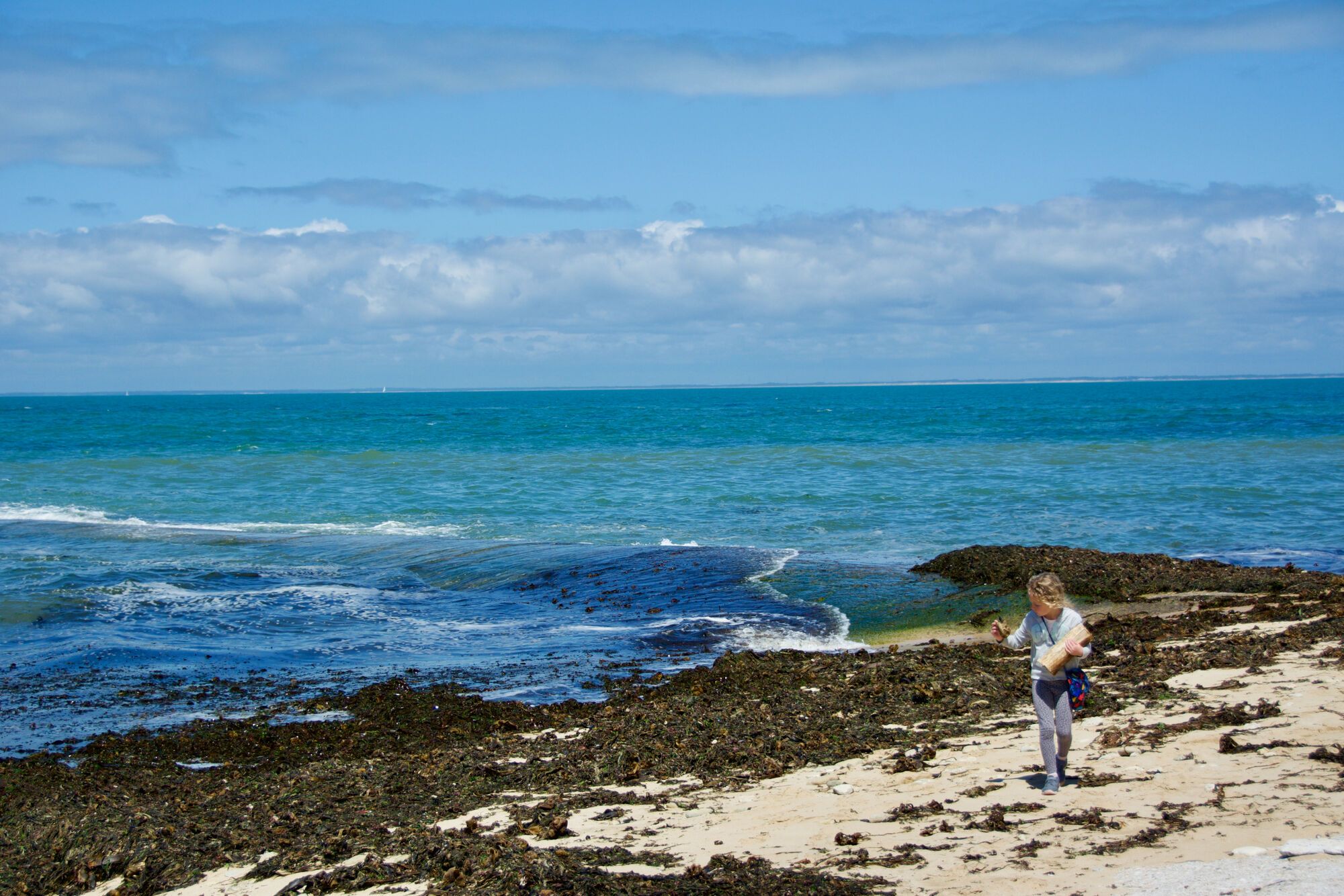 Phare des Baleines