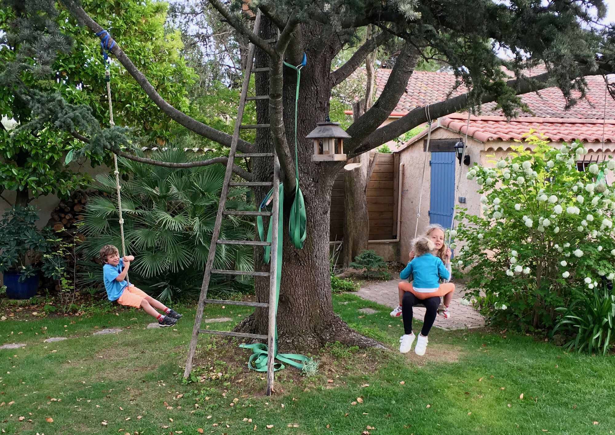 Jardin ensoleillé