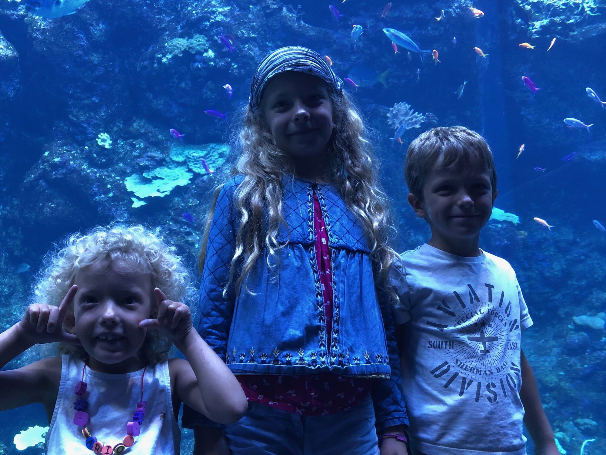 Cal Academy