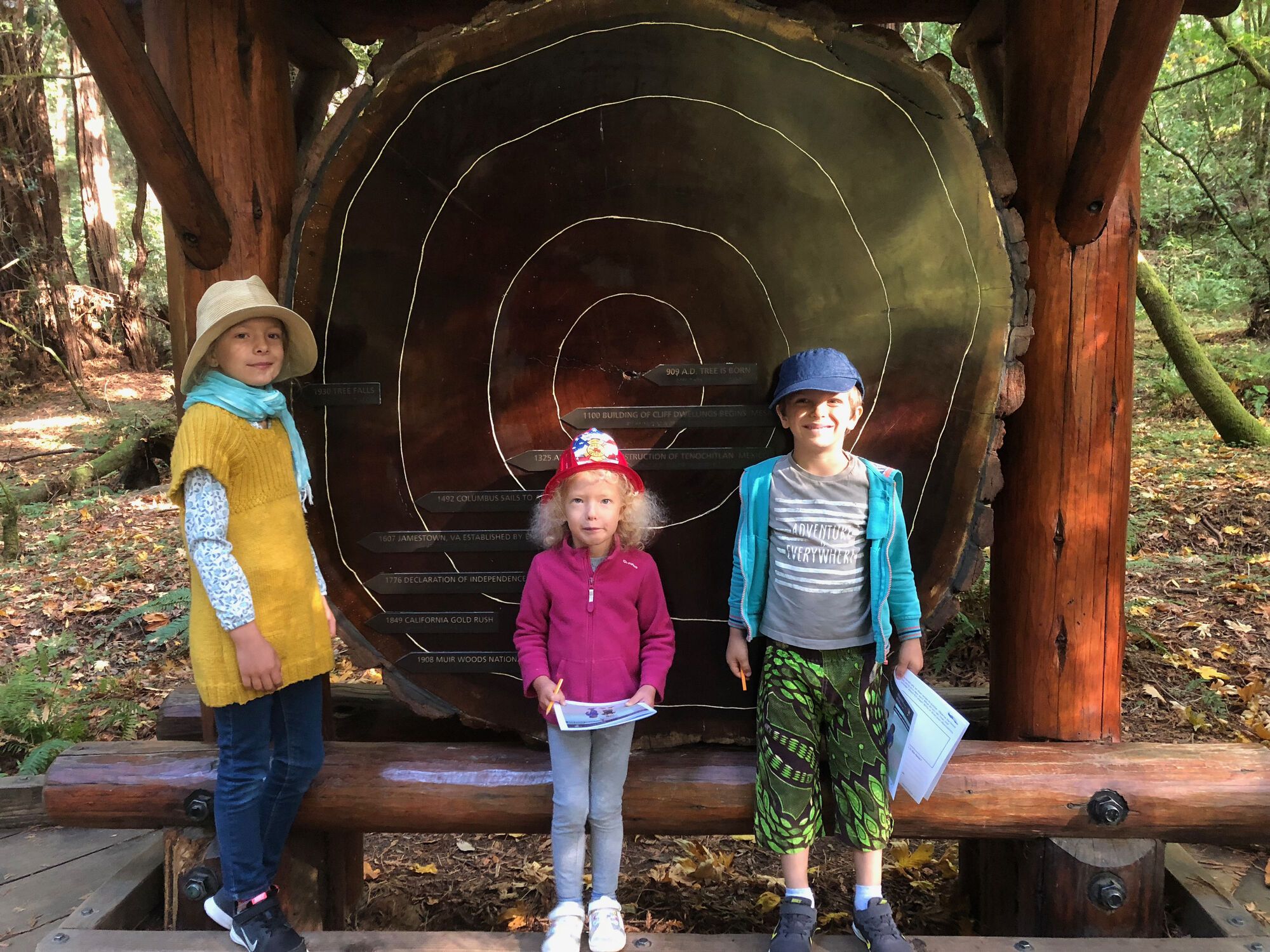 Muir Woods