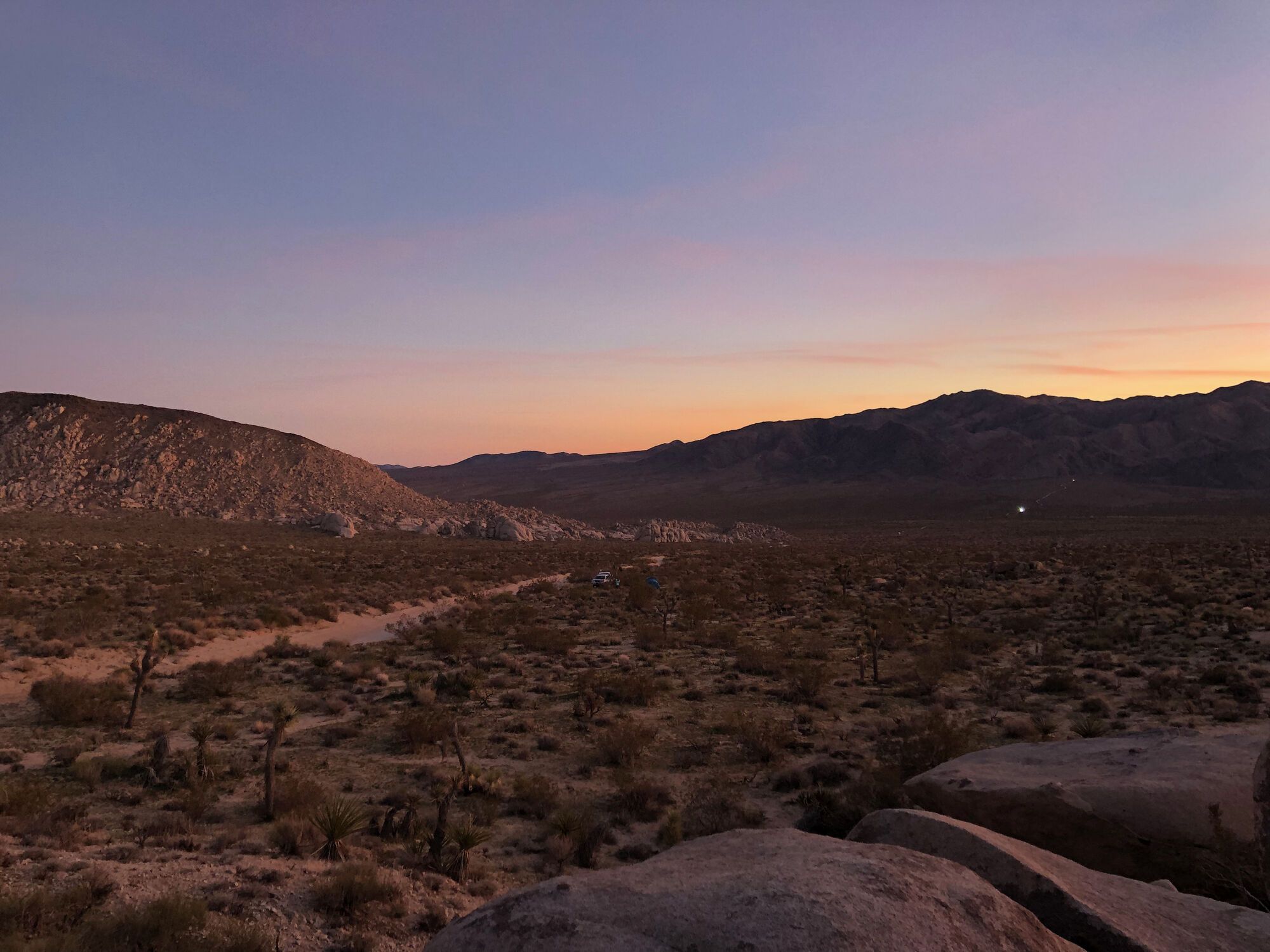 Joshua Tree