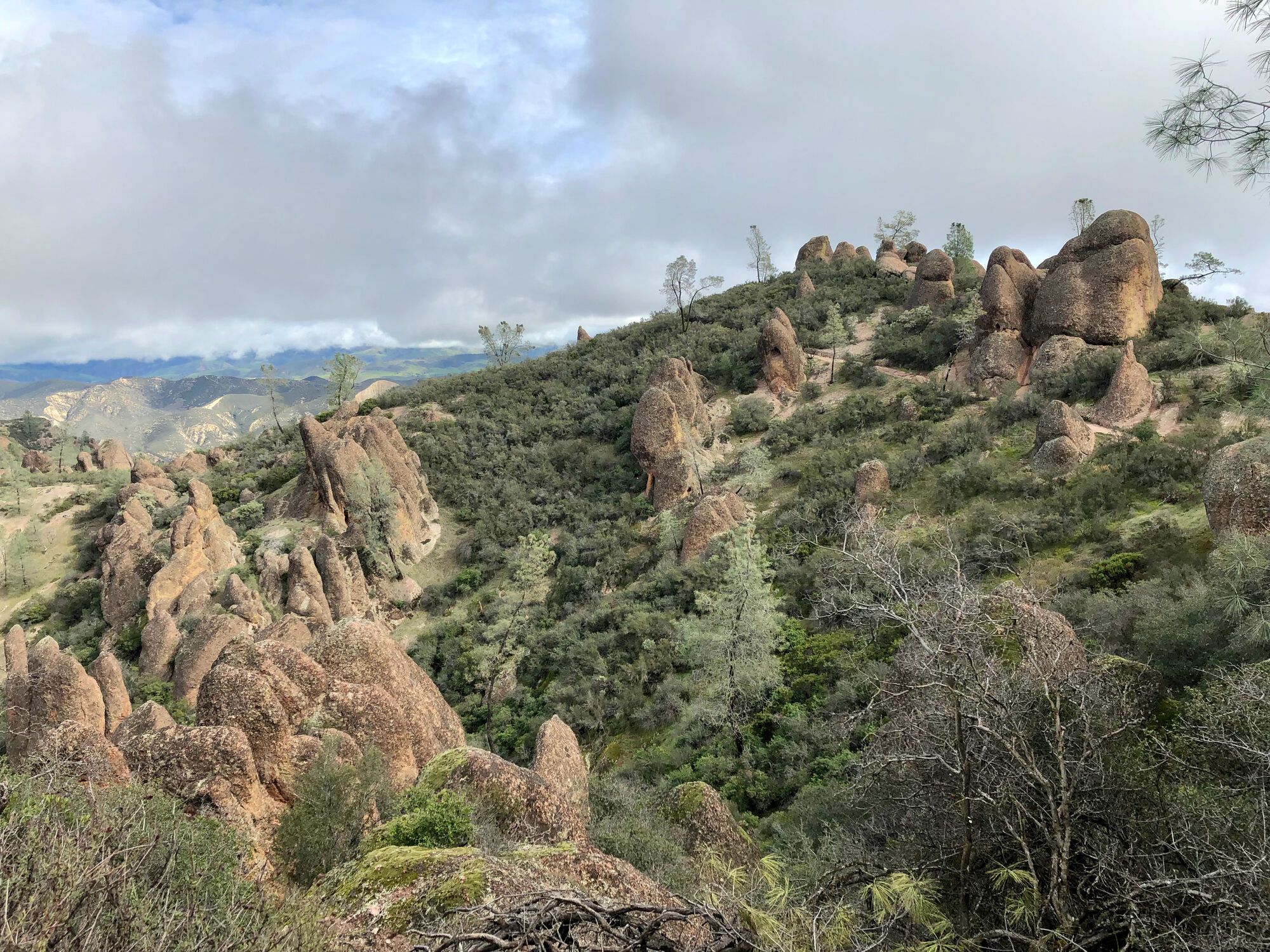 Pinnacles