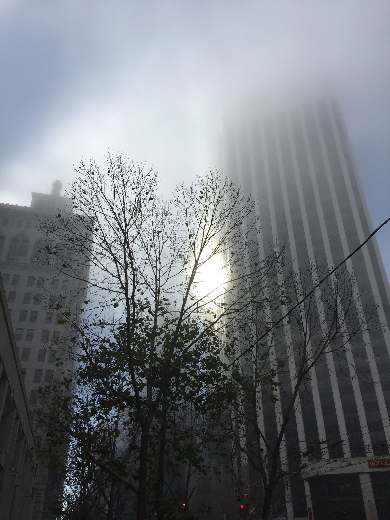 Financial District