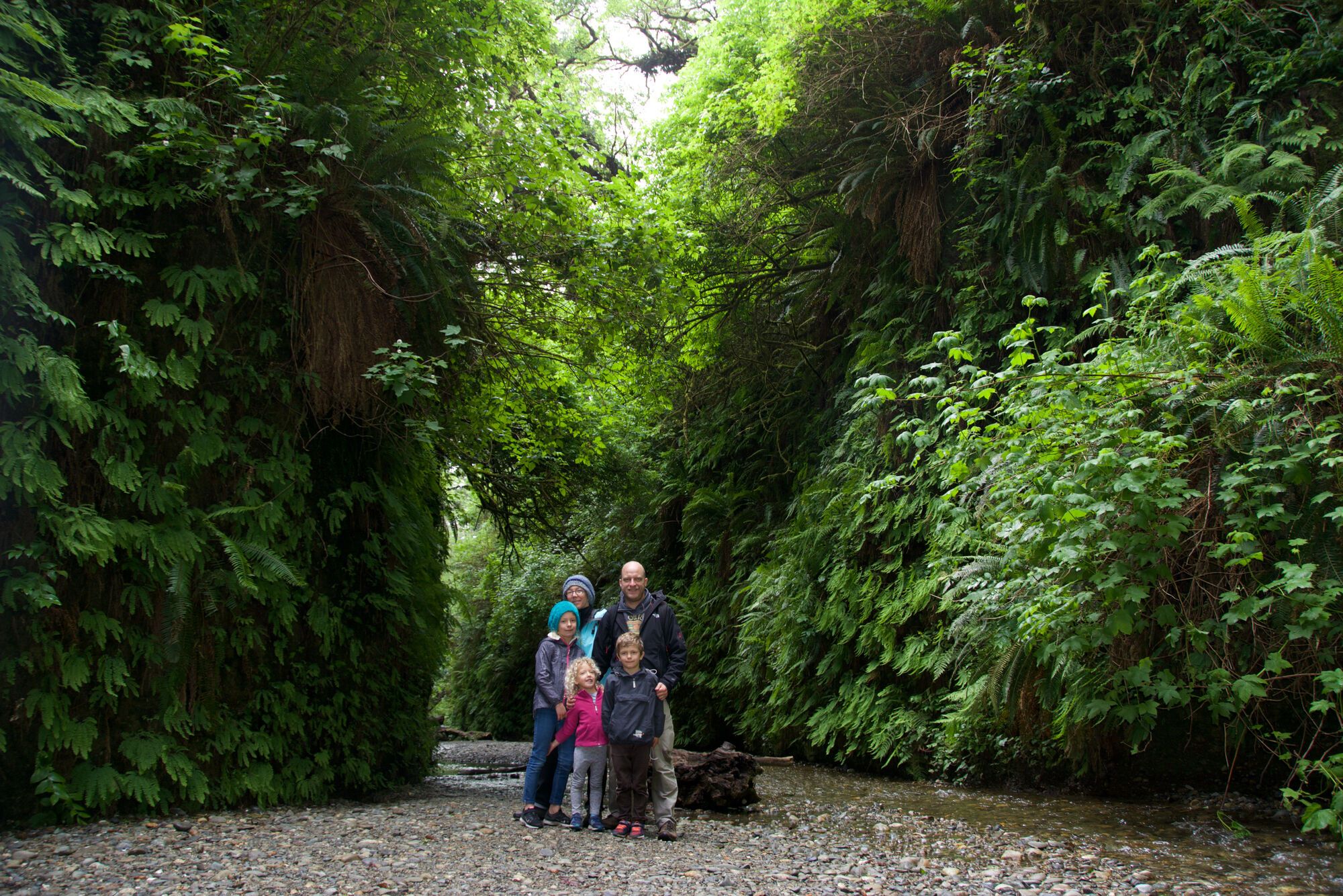 Redwood National park