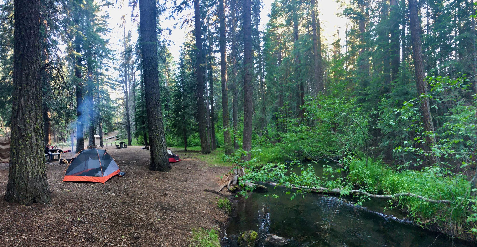 Scott creek