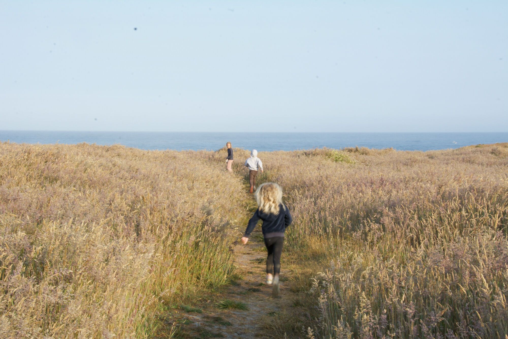 North Coast : Petit dejeuner
