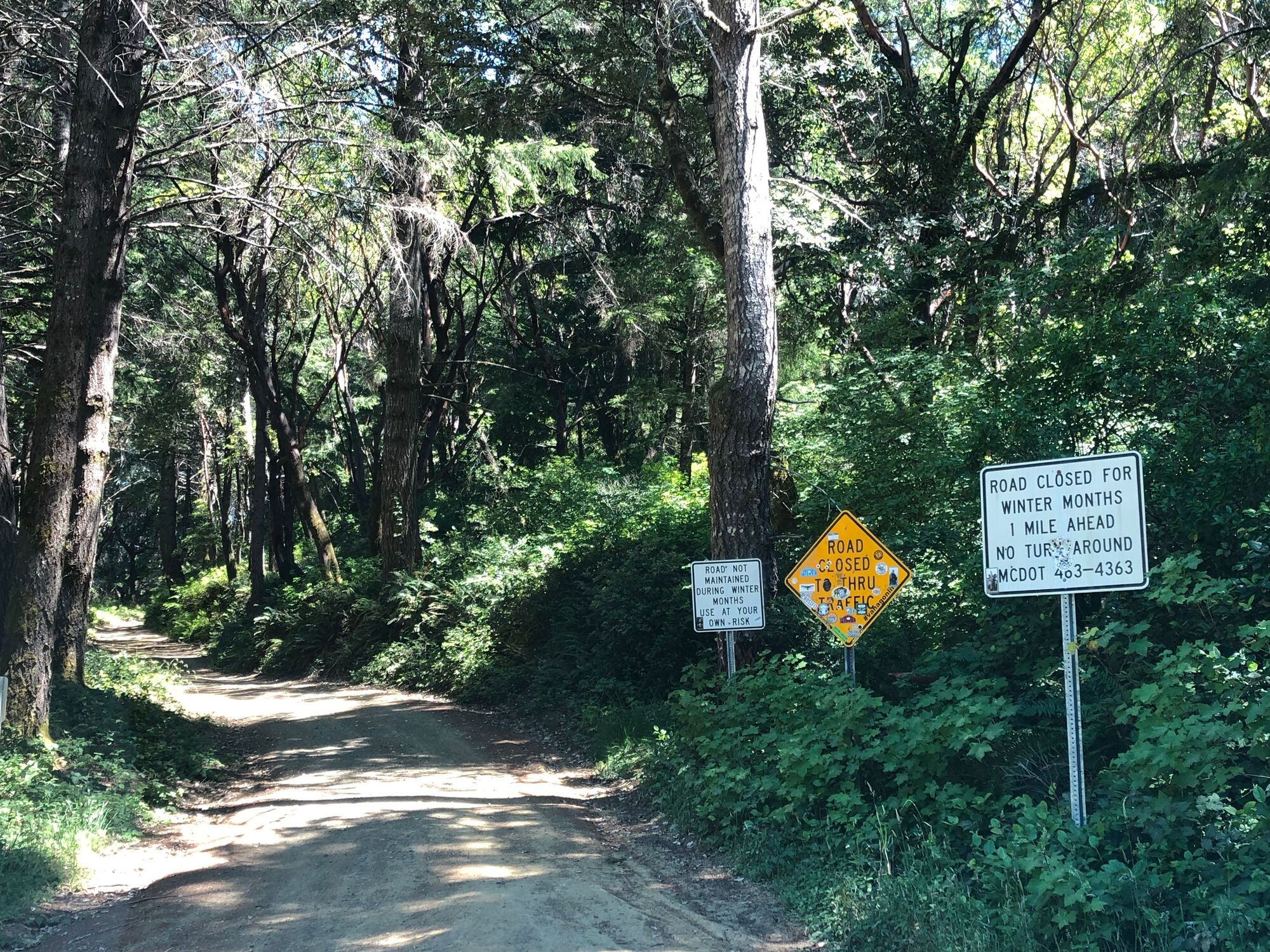 Jackass road