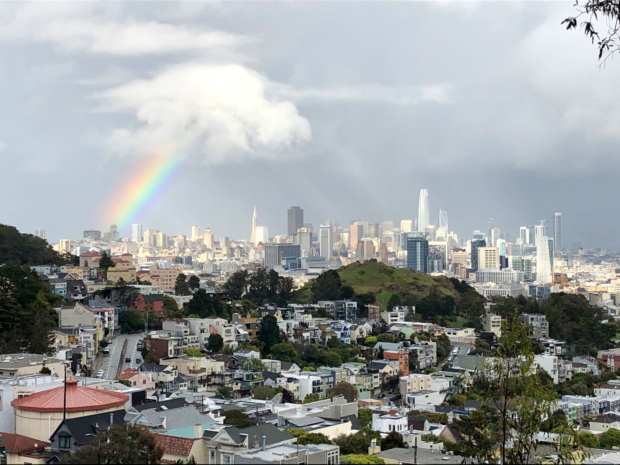 Shelter in – week1