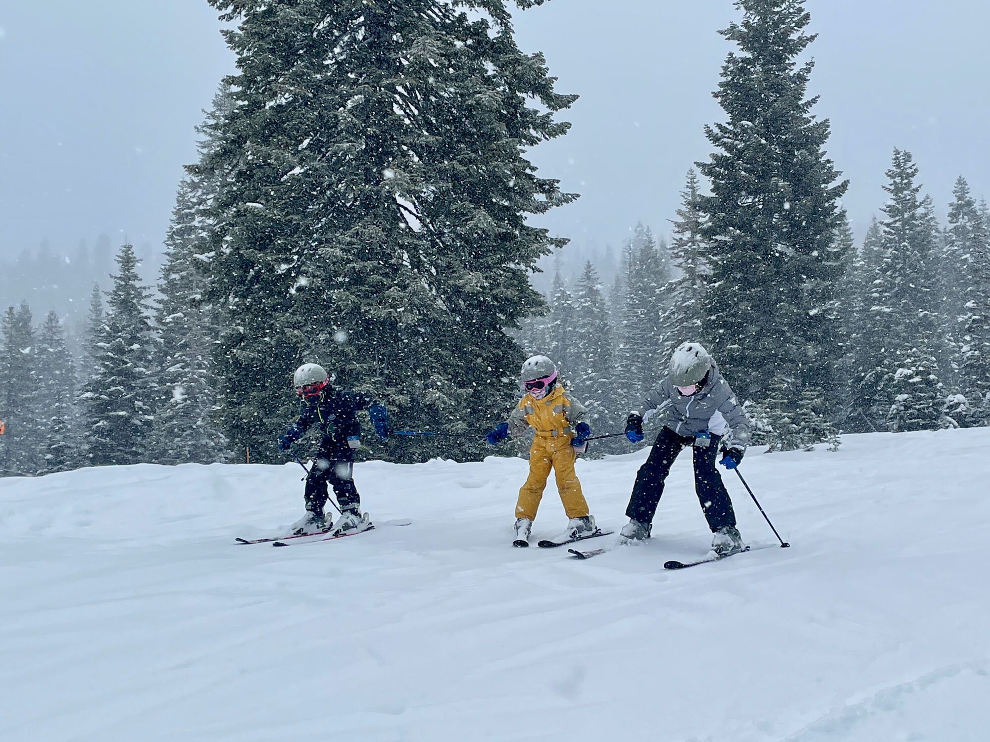 Ski sous la neige