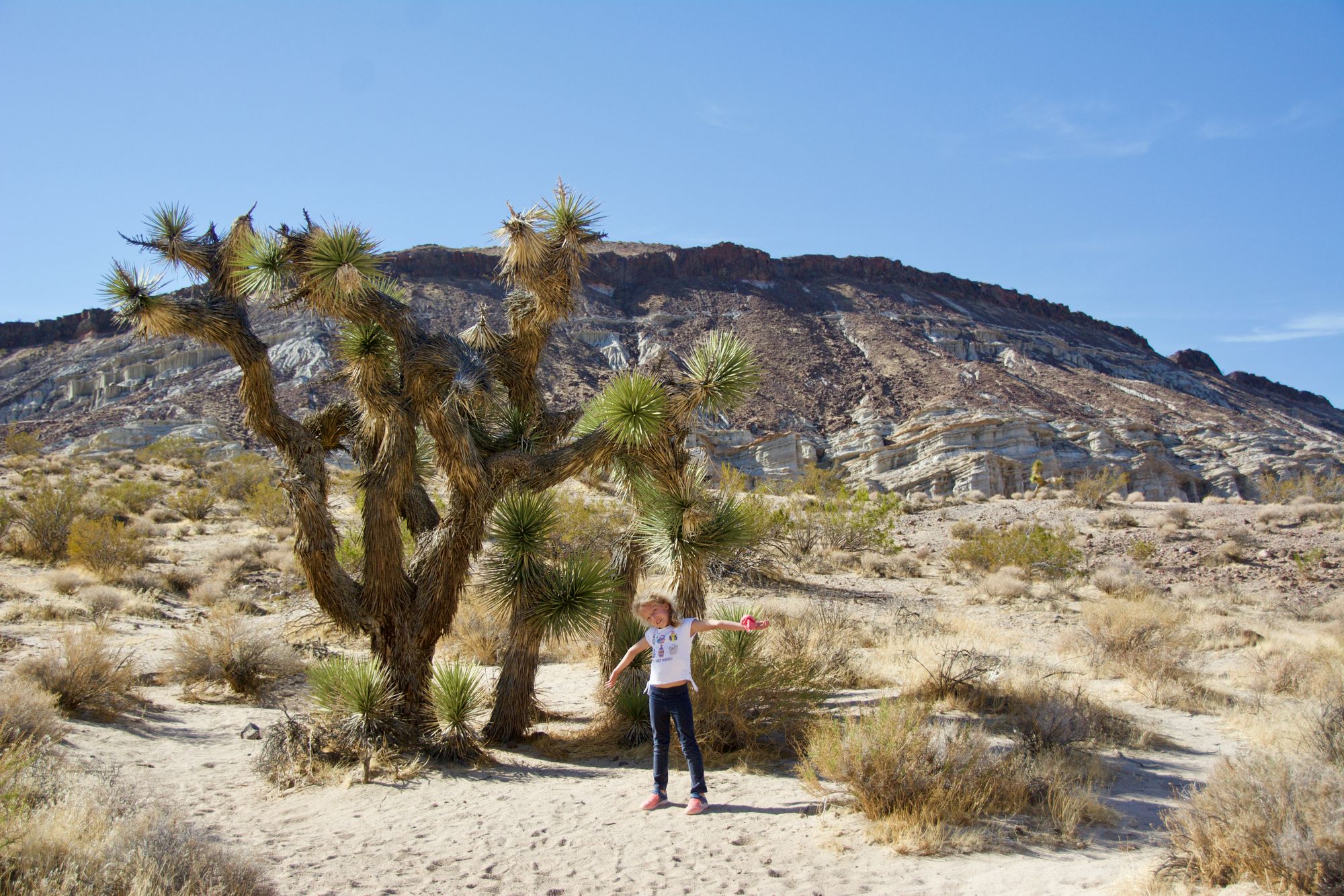 Red Rock canyon SP