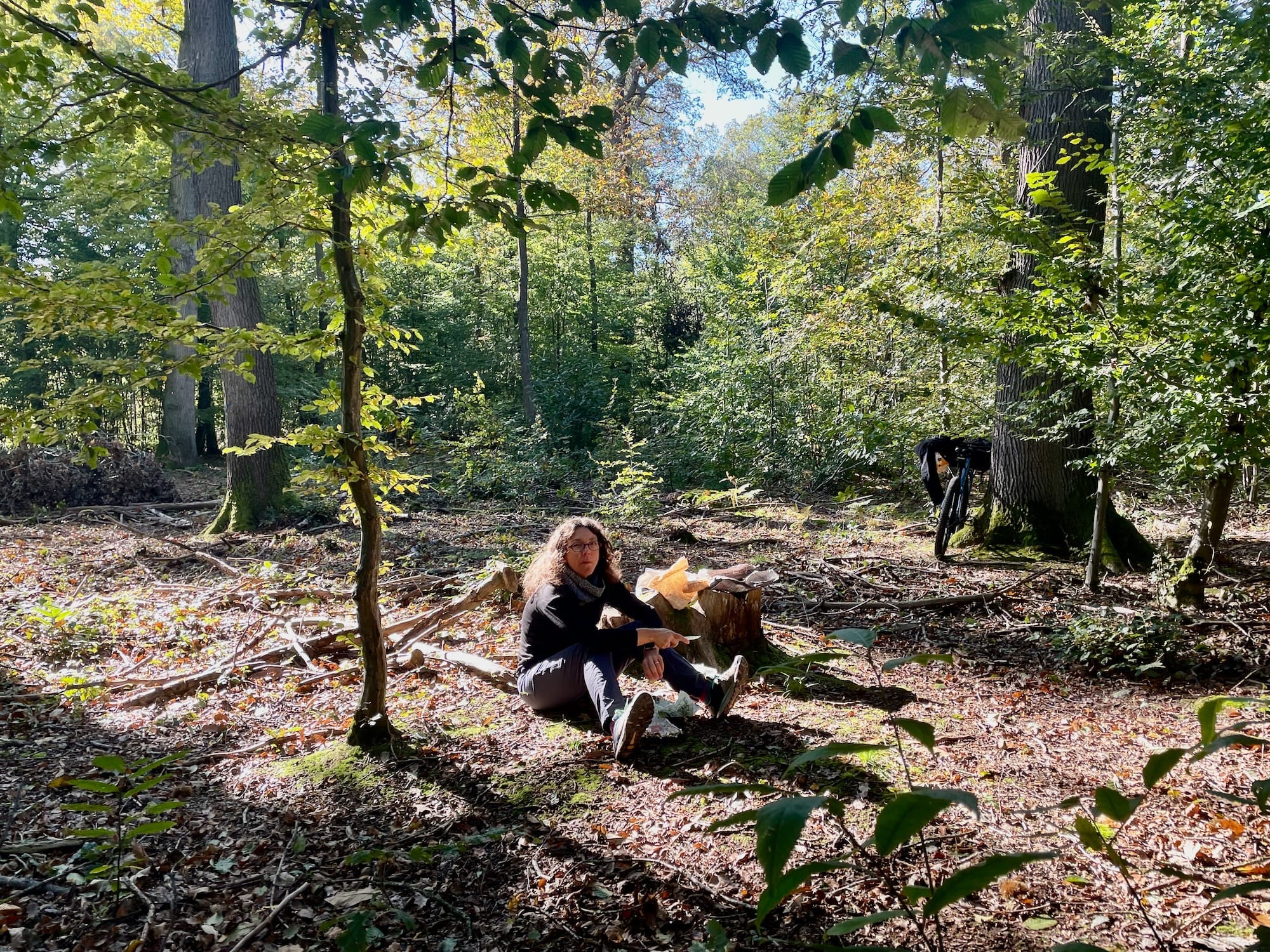 Automne en forêt