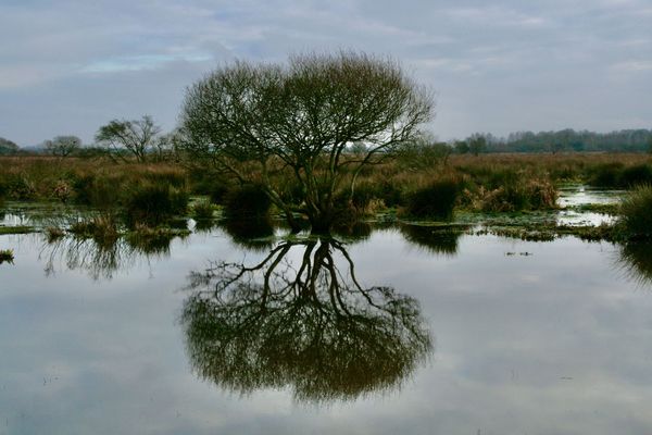 Balade en Brière