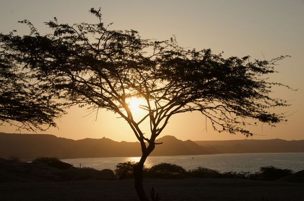 Au soleil couchant