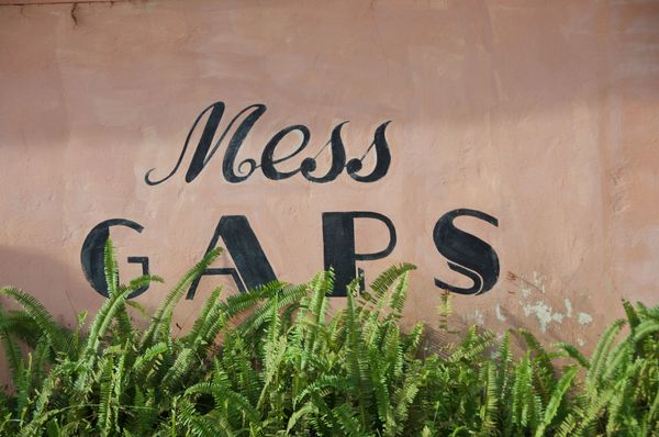 La ménagerie de chez GAPS