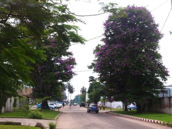 Printemps Congolais