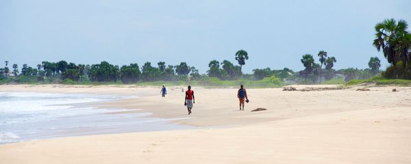 Mvassa