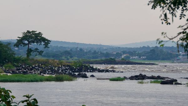 Le Djoué - les cataractes
