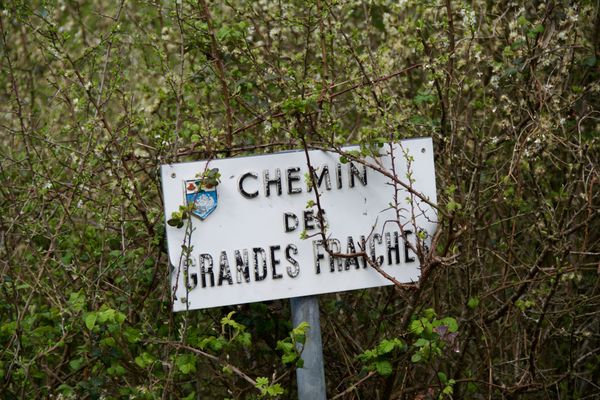 Des noés à Bonne Source