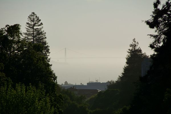 Depuis Berkeley