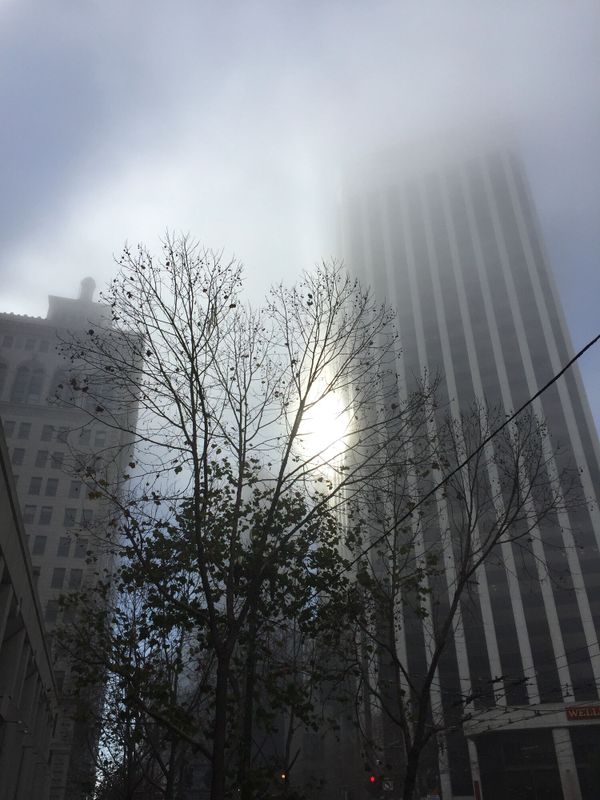 Financial District