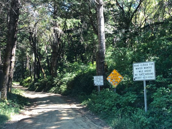 Jackass road